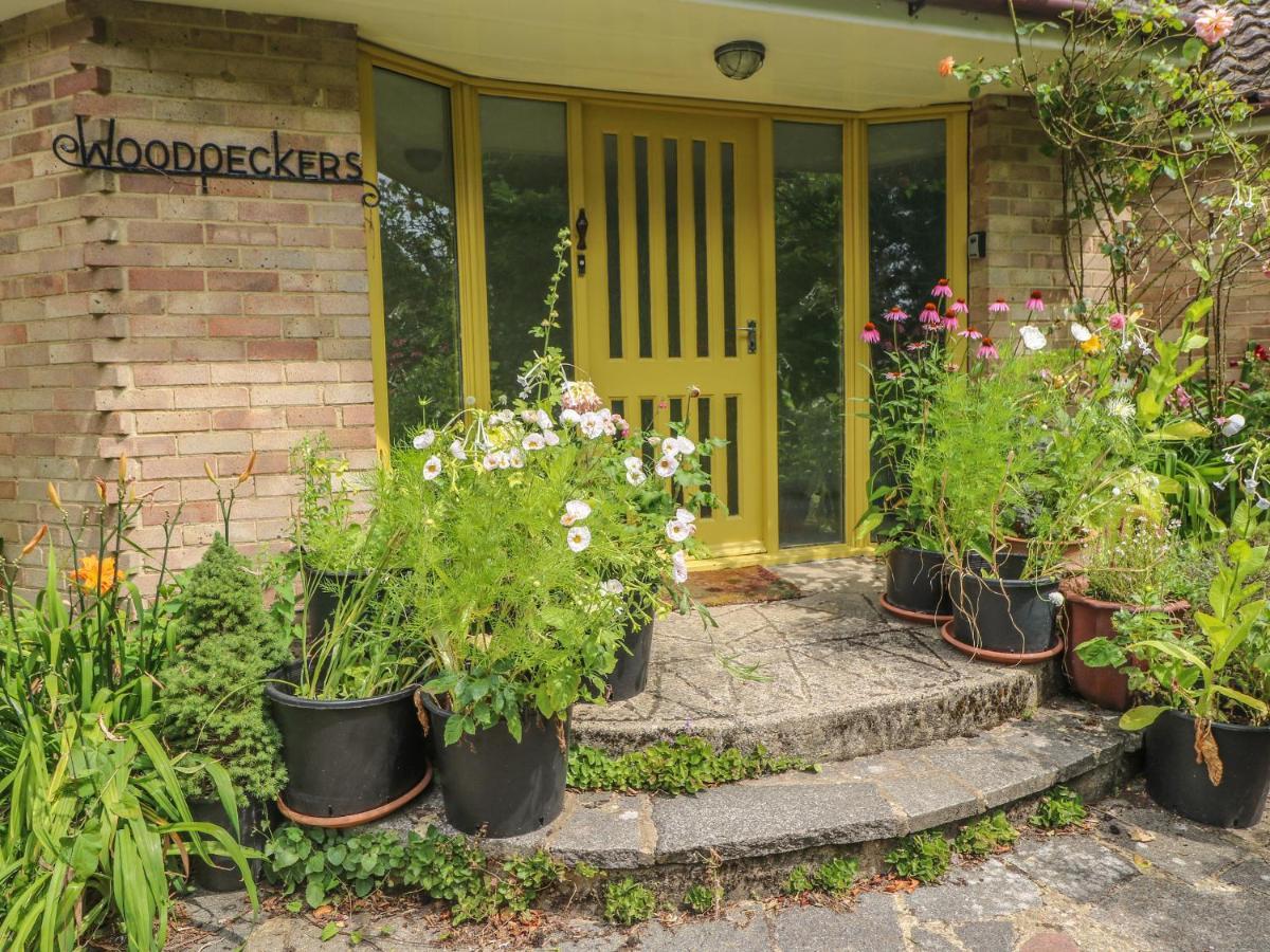 Little Yaffle Villa Dover Exterior foto